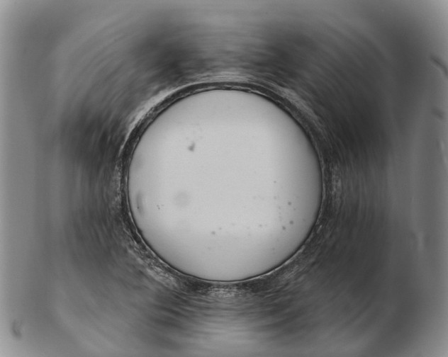 X0000103261364200809121913