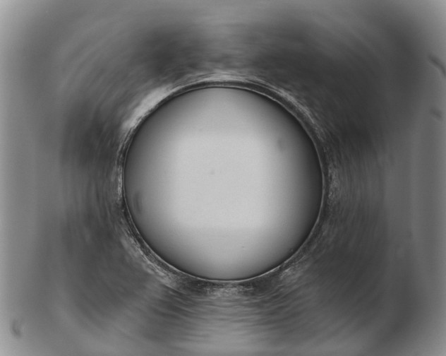 X0000103261367200809121913