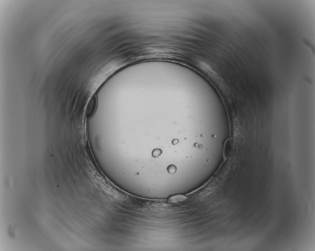 X0000103261370200809121913