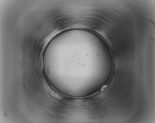 X0000103261371200809121913