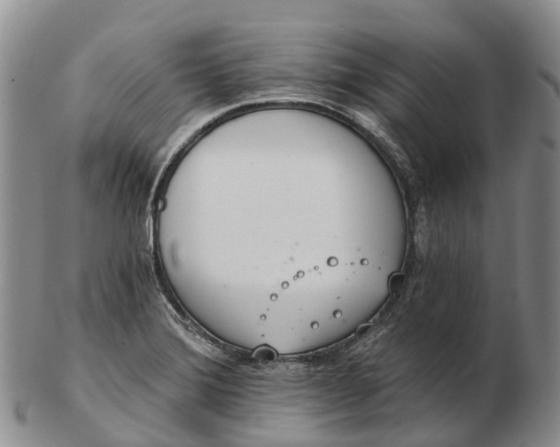 X0000103261372200809121913