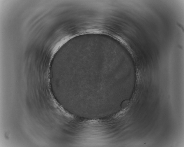 X0000103261373200809121913