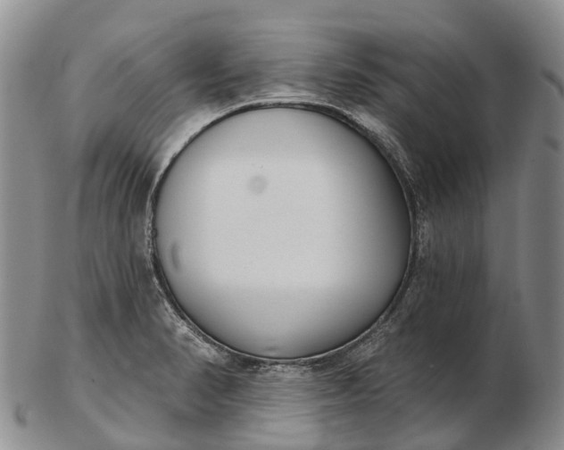 X0000103261374200809121913