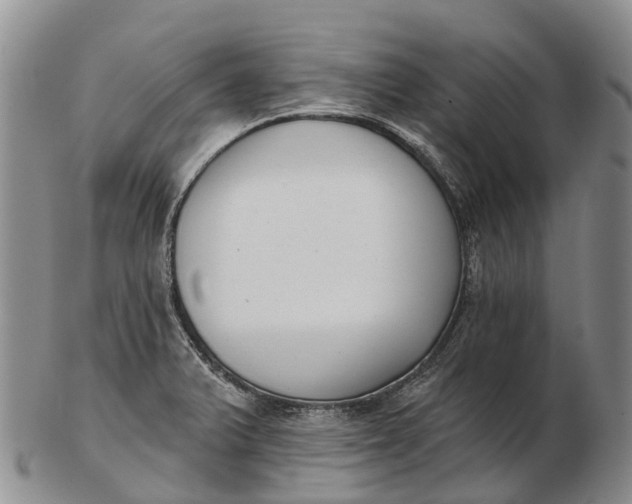 X0000103261375200809121913