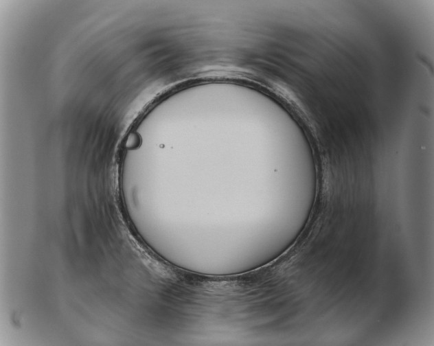 X0000103261376200809121913