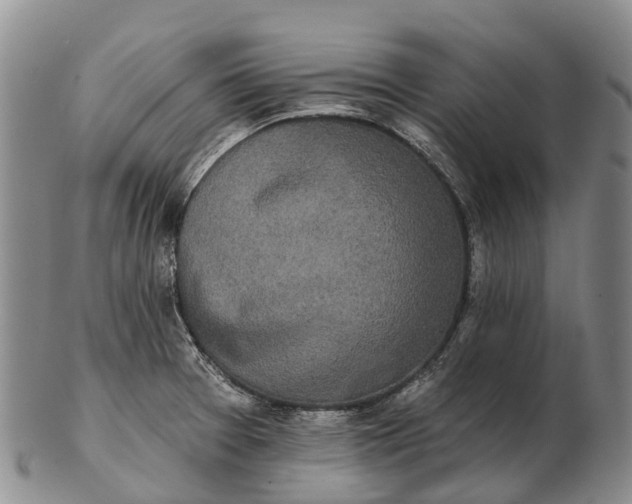 X0000103261377200809121913