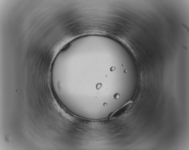 X0000103261379200809121913