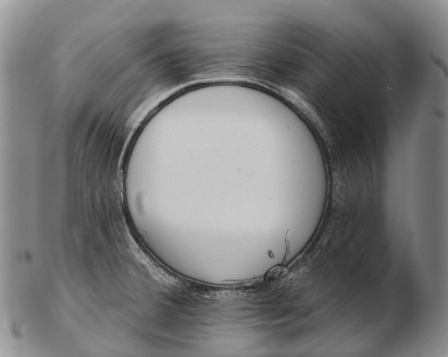 X0000103261380200809121913