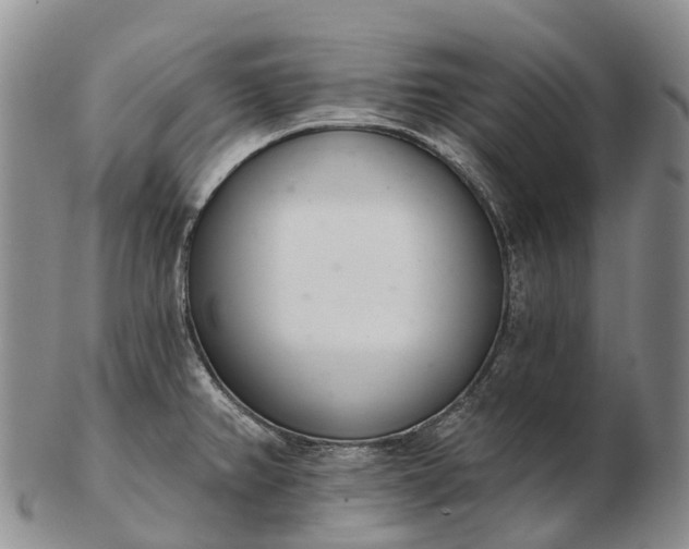 X0000103261382200809121913