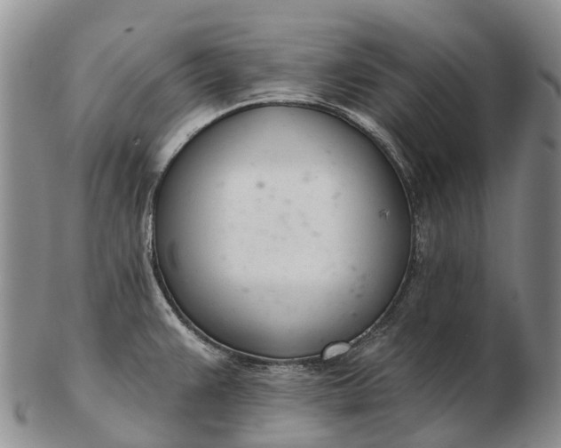 X0000103261383200809121913