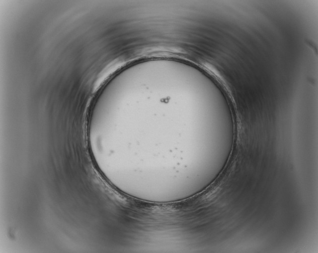 X0000103261384200809121913