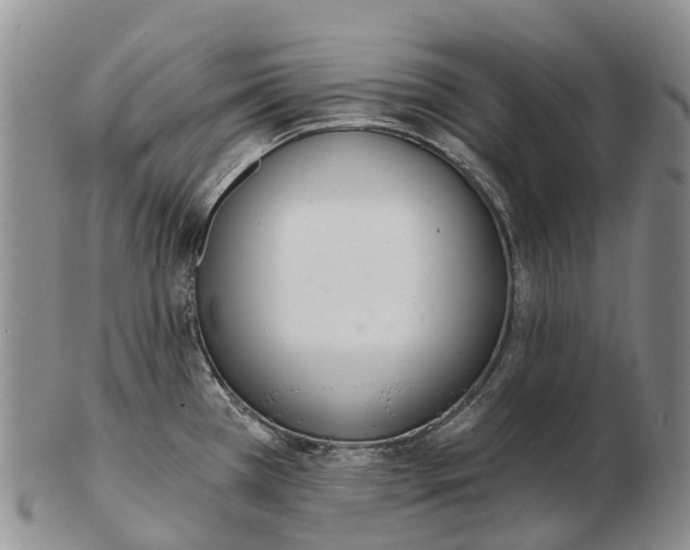 X0000103261385200809121913