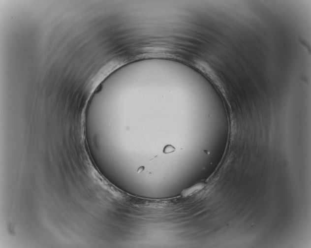 X0000103261386200809121913