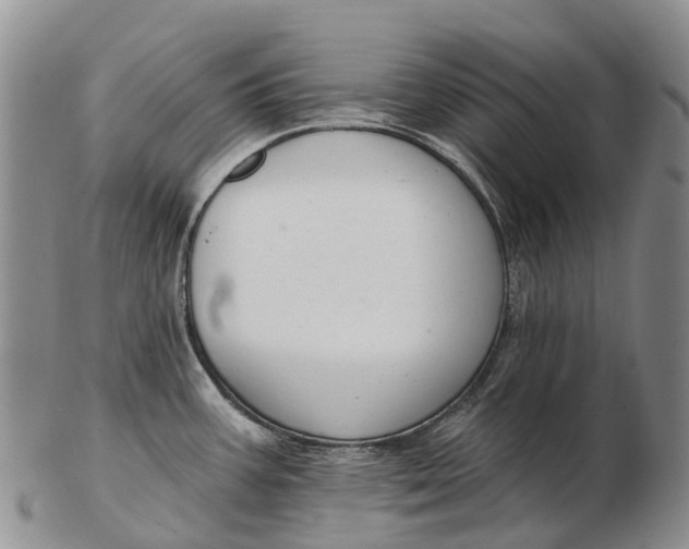 X0000103261387200809121913