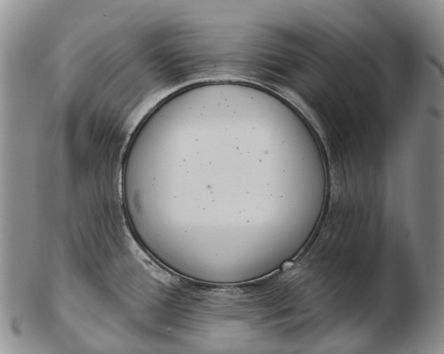 X0000103261388200809121913