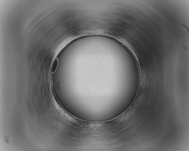 X0000103261389200809121913