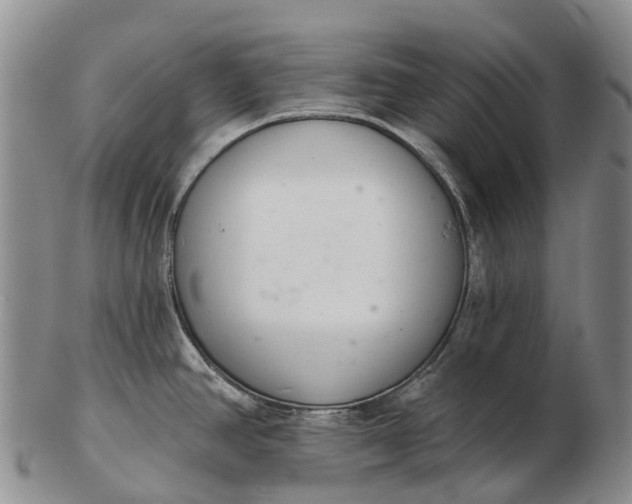 X0000103261390200809121913