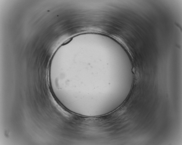 X0000103261391200809121913