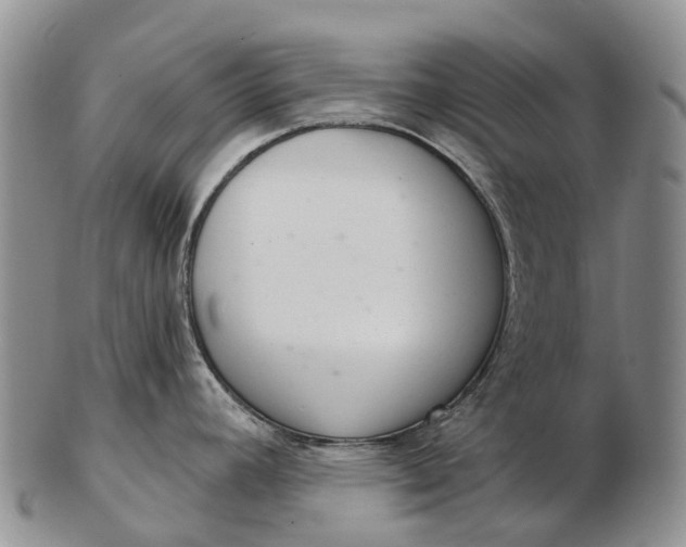 X0000103261392200809121913