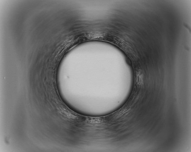 X0000103261393200809121912