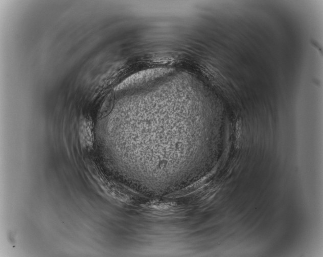 X0000103261394200809121912