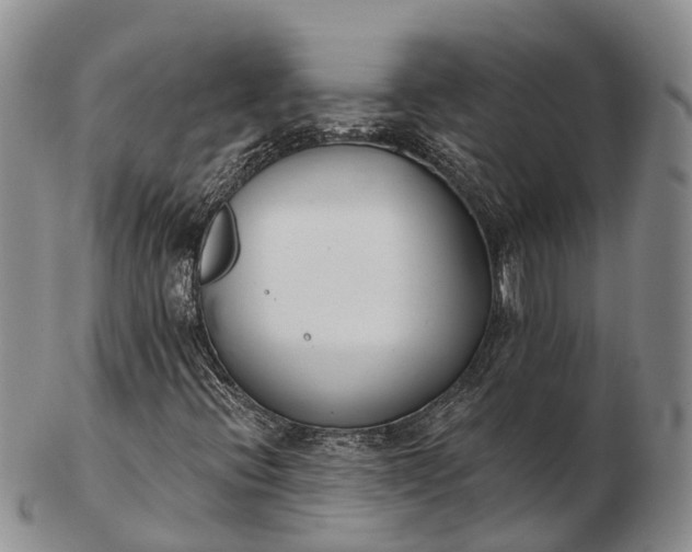 X0000103261396200809121912