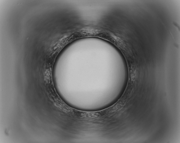 X0000103261397200809121912