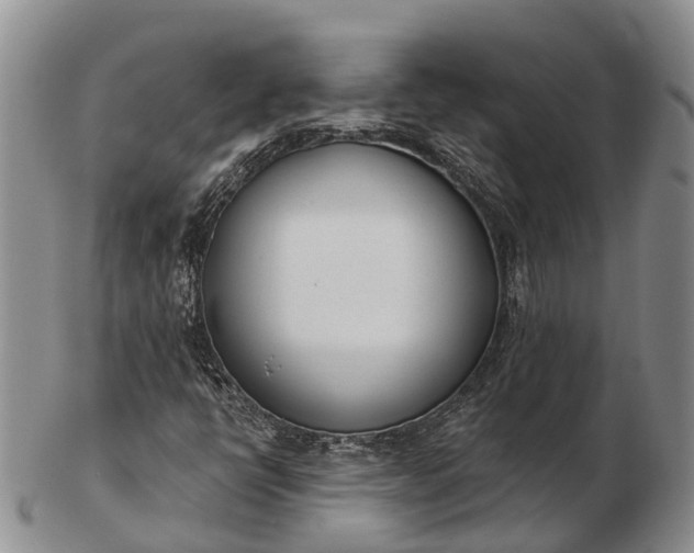 X0000103261398200809121912