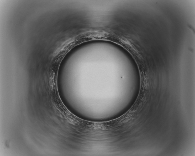 X0000103261399200809121912