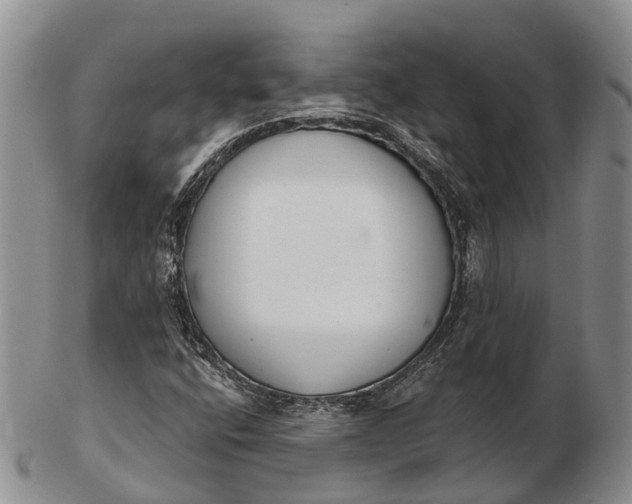 X0000103261400200809121912