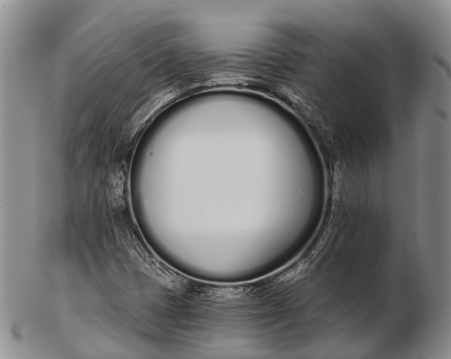 X0000103261401200809121912