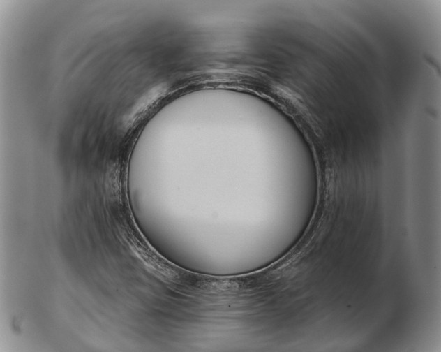 X0000103261403200809121912