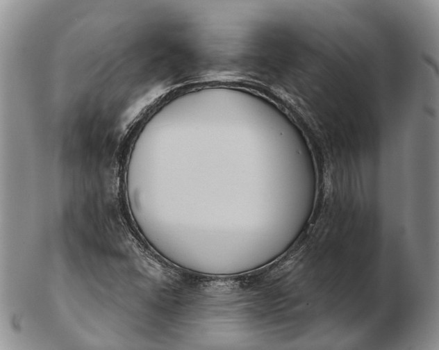 X0000103261406200809121912