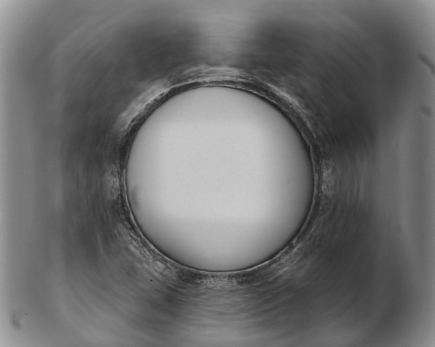 X0000103261407200809121912