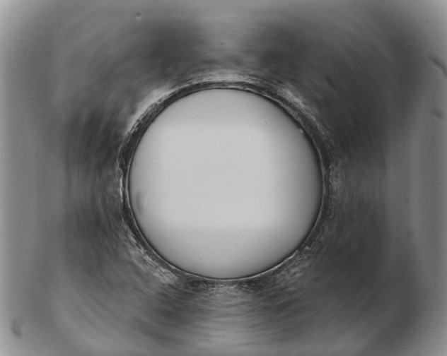 X0000103261408200809121912