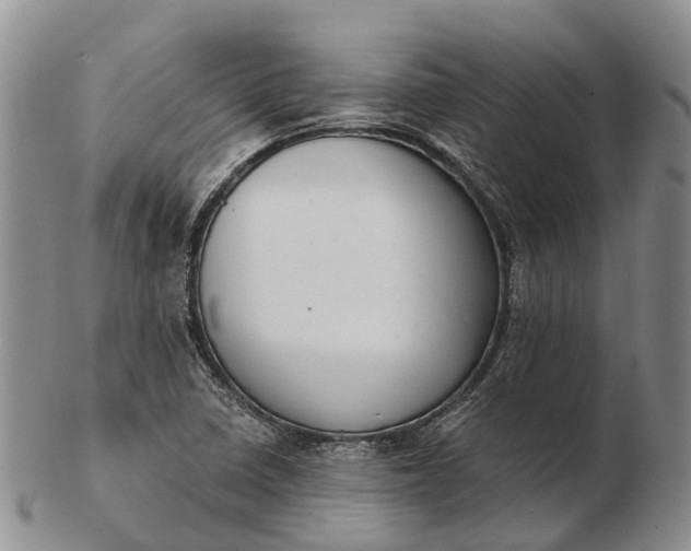 X0000103261410200809121912