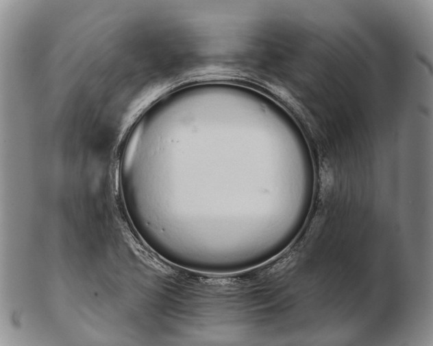 X0000103261413200809121912