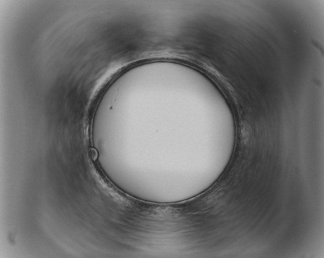 X0000103261416200809121912