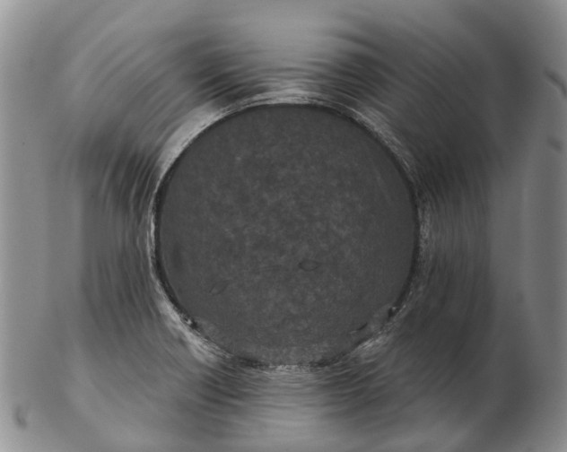 X0000103261418200809121912