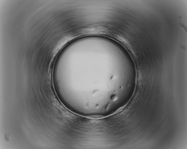 X0000103261419200809121912