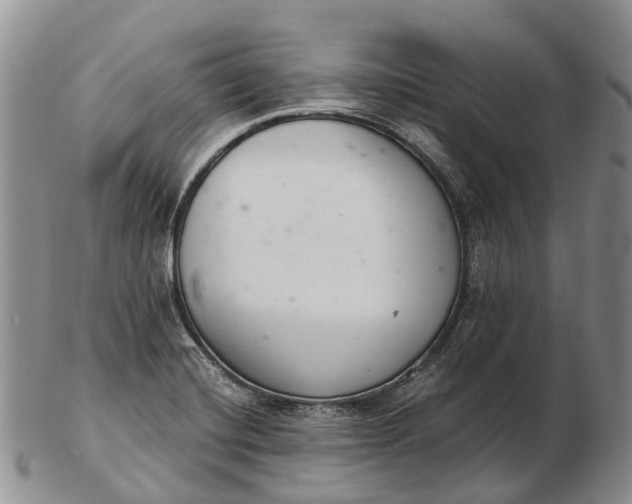 X0000103261420200809121912