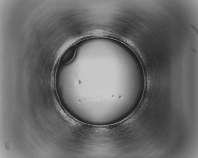 X0000103261421200809121912