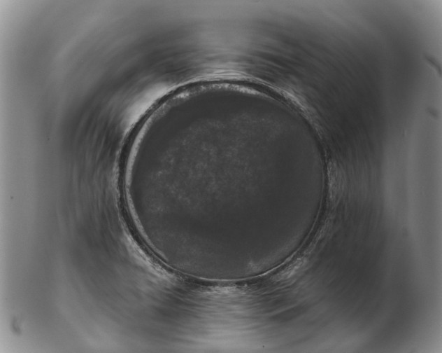 X0000103261422200809121912