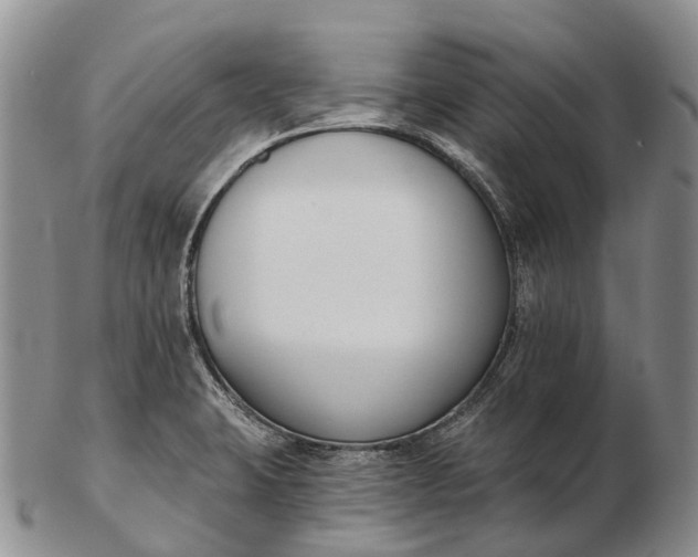 X0000103261423200809121912