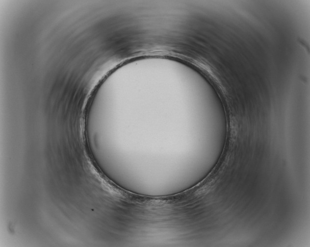 X0000103261424200809121913