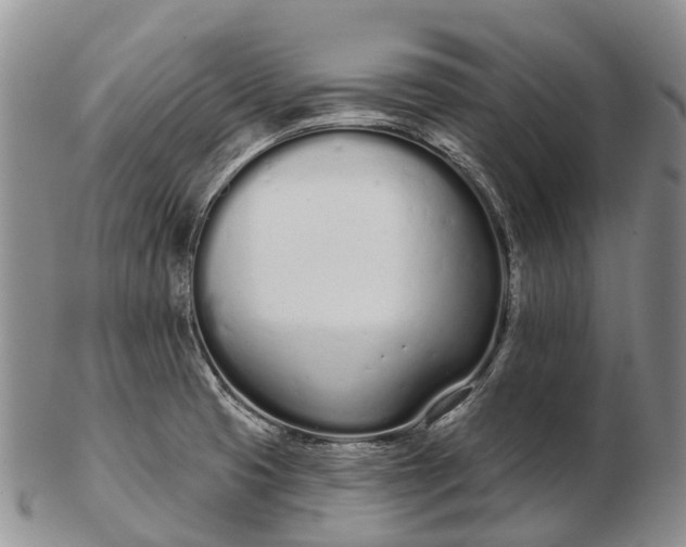 X0000103261425200809121913