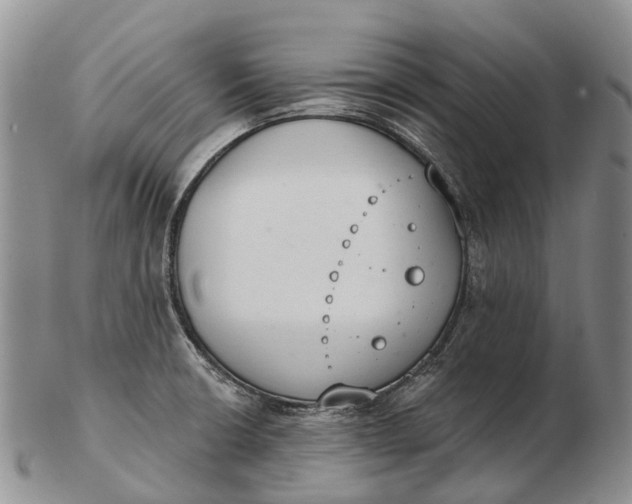 X0000103261426200809121913