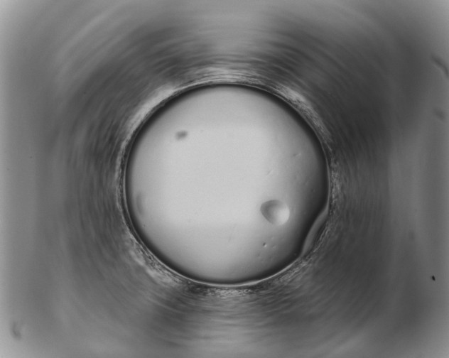 X0000103261427200809121913