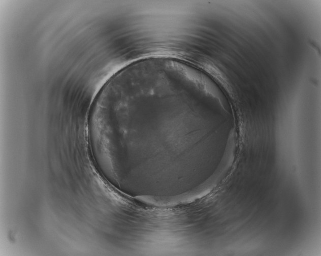 X0000103261428200809121913