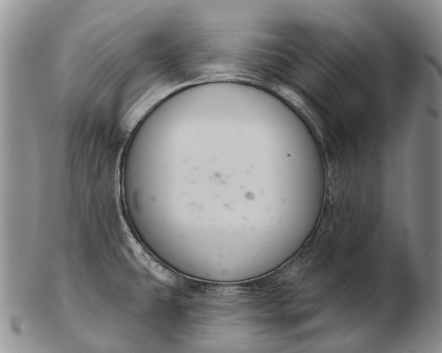 X0000103261431200809121913